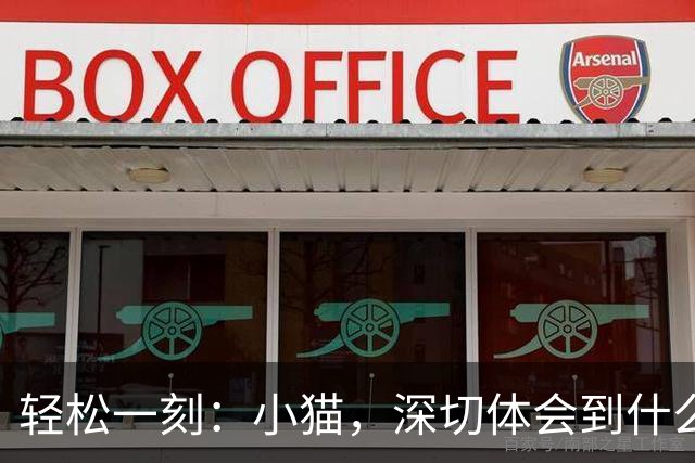 轻松一刻：小猫，深切体会到什么叫心有鱼而力不足~